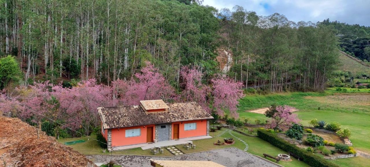 Cabanas Eco Das Montanhas Domingos Martins Extérieur photo